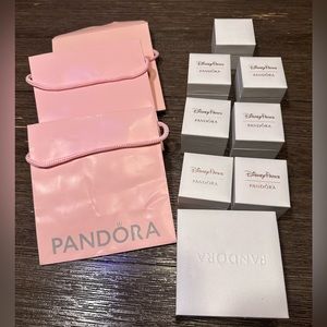 Empty Pandora Disney Parks boxes